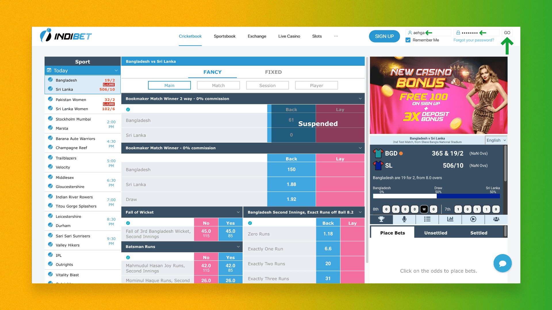 User authorization form on the Indibet home page