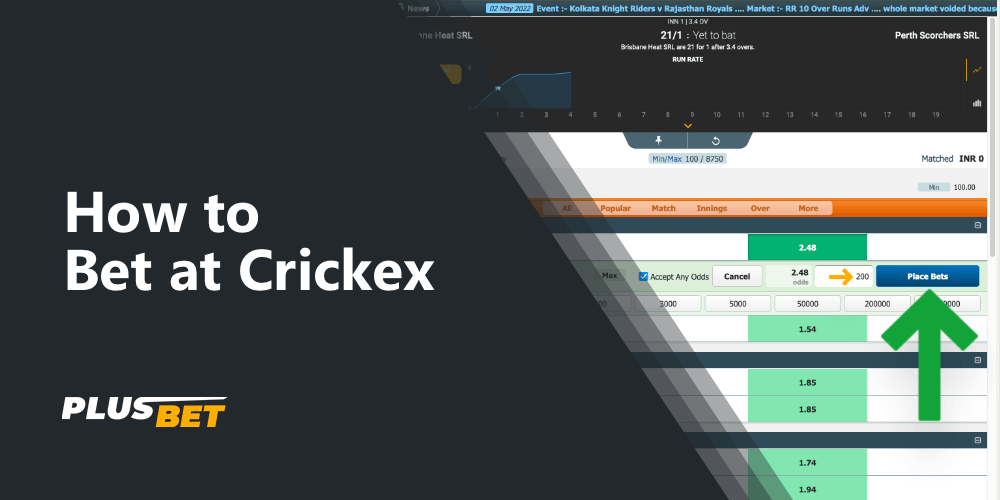 Step-by-step instructions on how to place a bet on the Crickex site