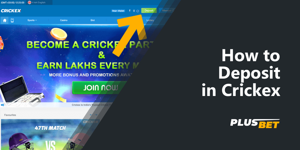 The list of available deposit and withdrawal methods from Crickex