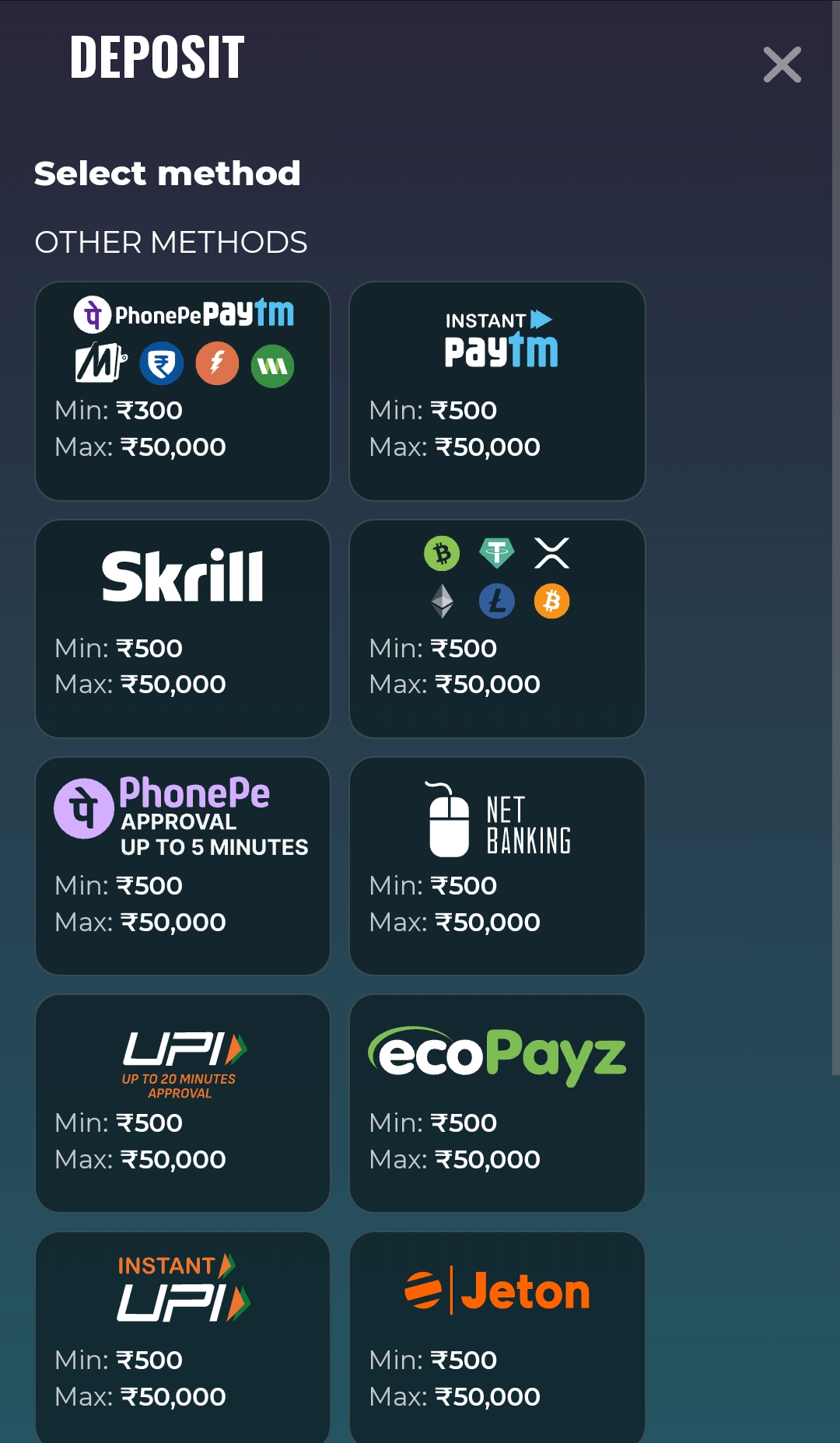 Available payment methods in the Rokubet app