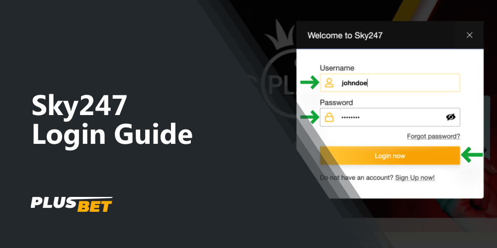 Authorization form on Sky247 website