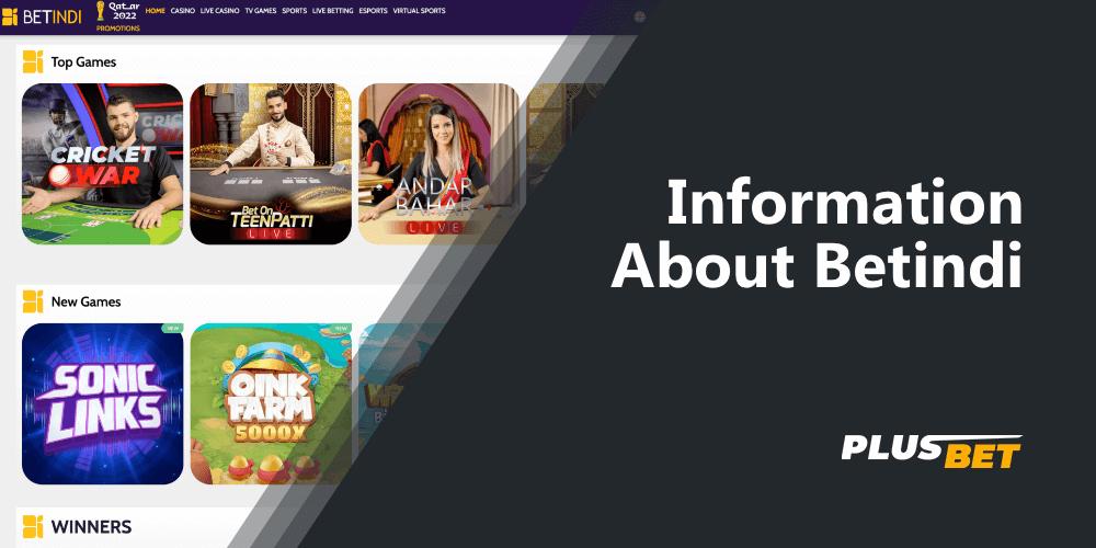 Detailed information about Betindi betting company in India
