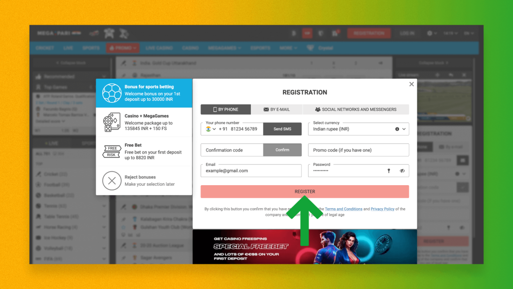 Once you have filled in all the required fields when registering with Megapari, click on the register button