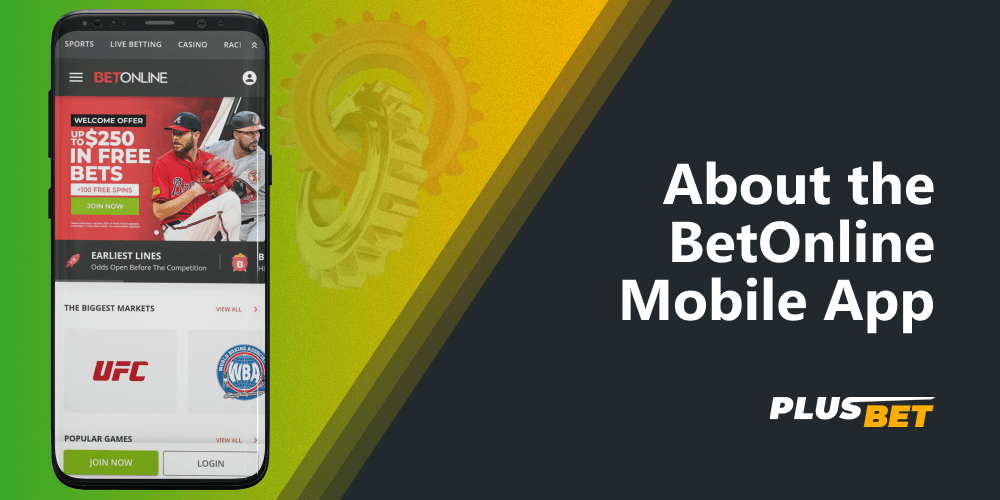Players from India can participate in live games, make financial transactions in INR, earn rewards and contact customer support via the BetOnline app