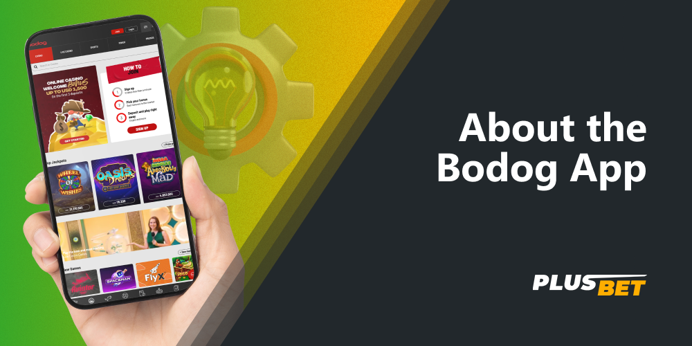 Bodog is a legitimate casino that lets Indian players take part in the referral program, bet on cricket on horse races, and much more