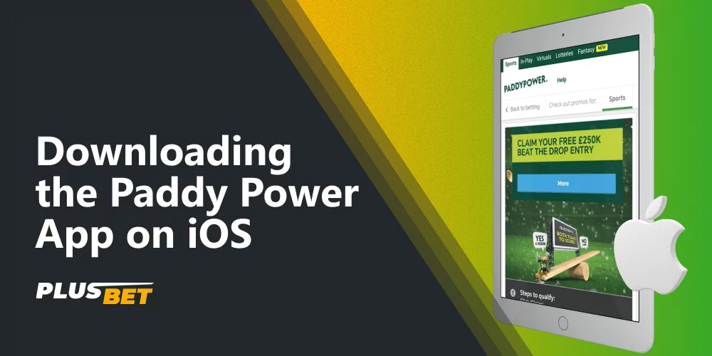 After installing the Paddy Power app on iOS, Indian players can bet on cricket and play casino games on the go