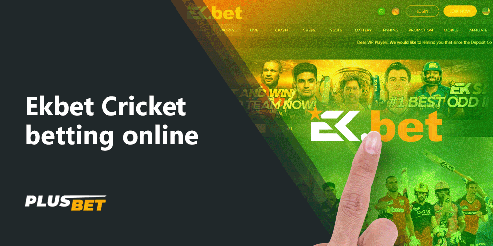 Ekbet cricket betting site is the best for users from India