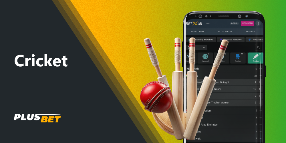 BetX101 includes all ongoing cricket matches in its betting schedule