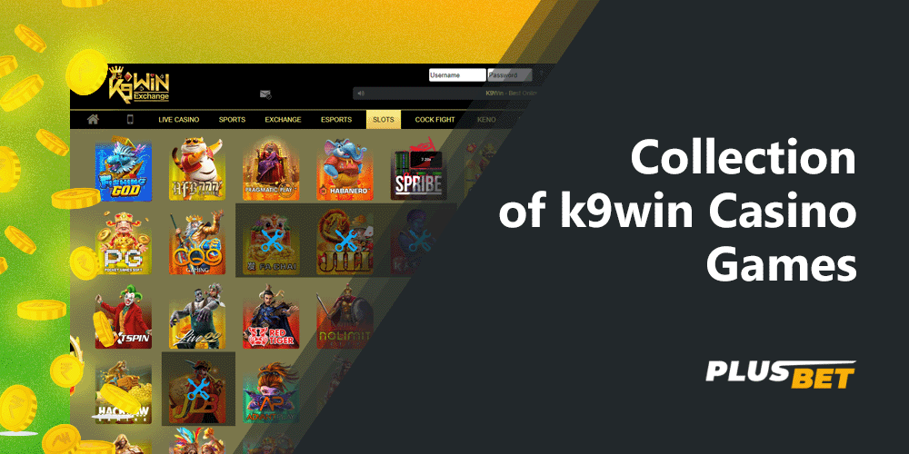 k9win Casino offers Indian players the opportunity to enjoy many games