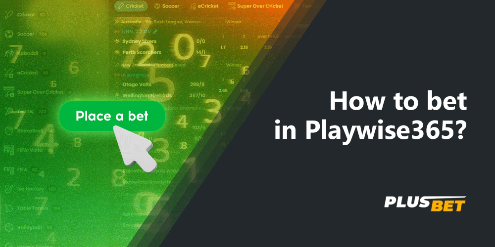 Bookmaker Playwise365 allows you to make different types of bets