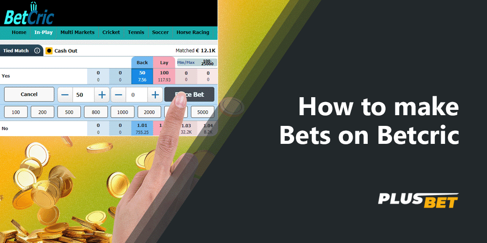 Bookmaker Betcric allows you to make different types of bets